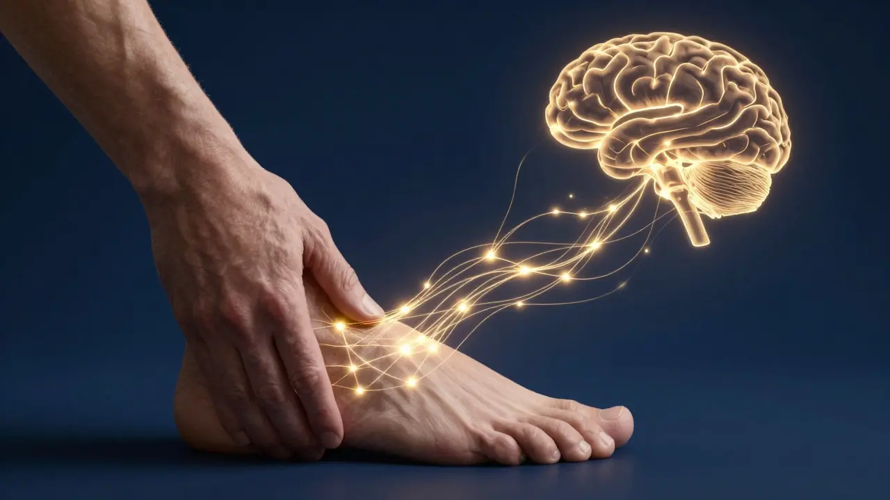 Konceptuální znázornění energetických drah spojujících chodidlo s orgány těla.